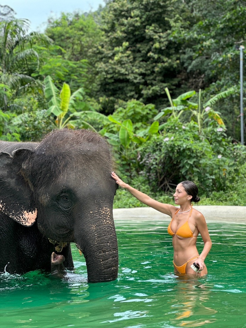Thai Elephant Camp